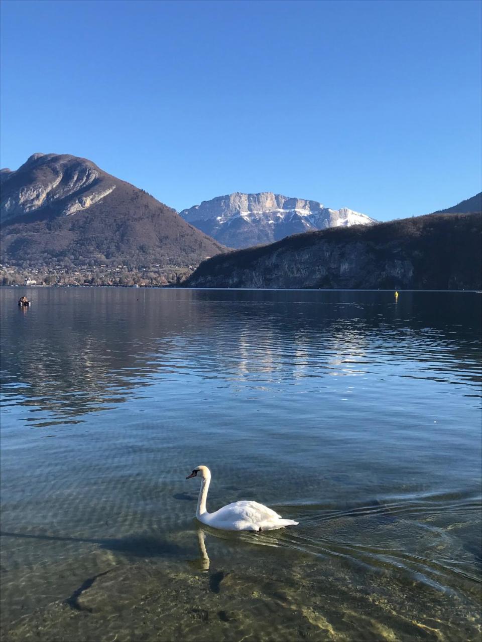 La Maison Du Port, Une Exclusivite Lla Selections By Location Lac Annecy Сен-Жорьо Экстерьер фото